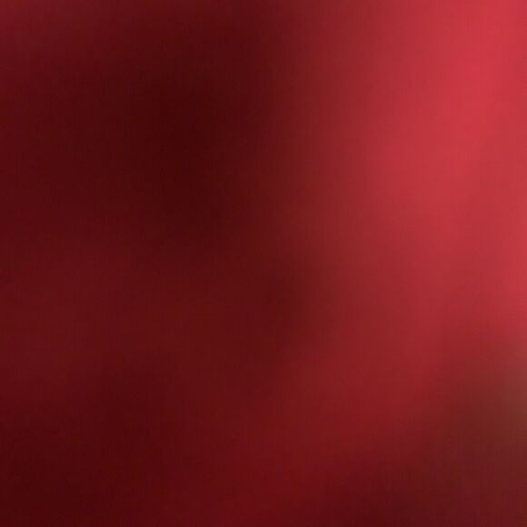 NWT EVERYDAY JONES BODYSHIRT 1X - Picture 4 of 8